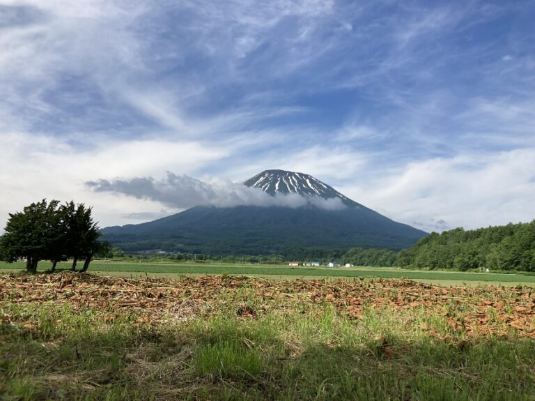 羊蹄フロント京極
