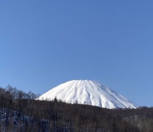 留寿都276